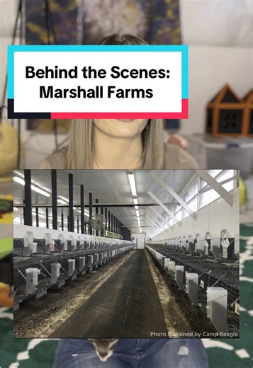 Stop Supporting Marshall's Farms: Help Cut The Cruelty
