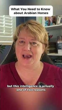 What Are Arabian Horses’ Temperament, Speed, and Intelligence?#arabianhorse #besthorsebreed