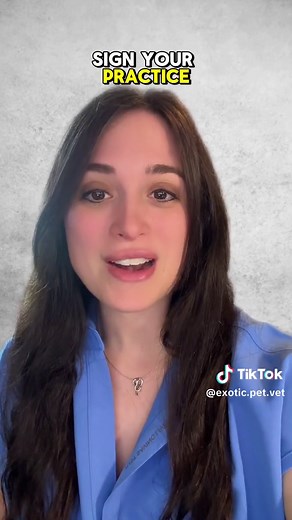 How to Get into Vet School: Vet Set Go App for Pre-Vet Students