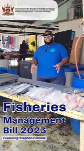 1K views · 23 reactions | BENEFITS OF THE FISHERIES MANAGEMENT BILL 2023 Fisherfolk! #DYK how the Fisheries Management Bill 2023 benefits you? Learn more in this video with Stephon Felmine Media For more information on the Bill, visit our website via bit.ly/fisheries-bill2023 #MALF | #FisheriesDivision | #FisheriesManagement | #FisheriesManagementBill2023 | #Fisheries | #FishingIndustry | Ministry of Agriculture and Fisheries | Facebook