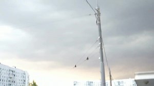 Exploring the Weirdcore Aesthetic in Digital Art