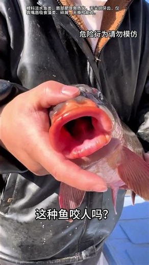 Sharing knowledge about 8 types of fish, how many do you recognize? #fish #sciencefacts