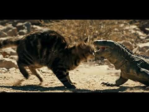 Epic Cat vs Lizard Showdown 🐱🦎 | Hilarious & Intense Battle