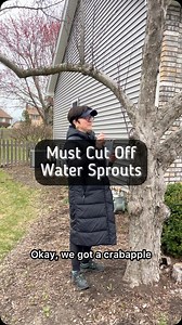 80K views · 1K reactions | If you have a lot of vigorous vertical...