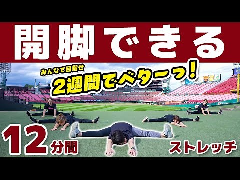 Stretch for splits! 【How to a 180 leg split in 2 weeks】