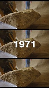 The Roots of Pennington Seed | Behind the Seeds