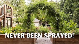 5.2K views · 67 reactions | 拾 Join us for a free LIVE gardening...