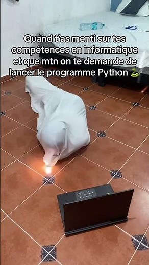 Le programme Python 🐍 #cv #informatique #pythonprogramming #humour