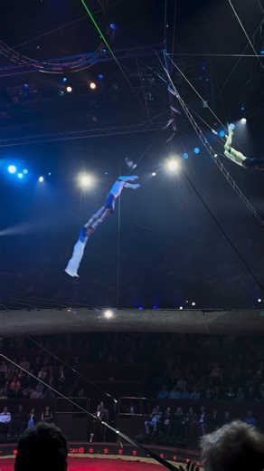 flying circus show enjoy #circus #shorts #viral