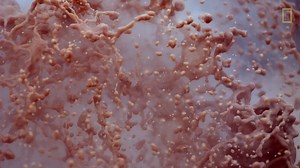 246K views · 13K reactions | Yellowstone National Park's geysers and geothermal features are fascinating to watch—and listen to. | National Geographic | Facebook