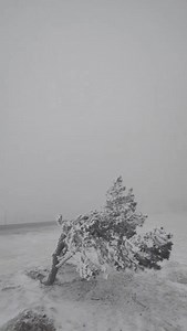 24K views · 1K reactions | Aujourd’hui, au sommet du Mont-Aigoual 略❄️ Ambiance bien hivernale !  Le Bonheur Est Dans Les Cévennes | InfOccitanie | Facebook