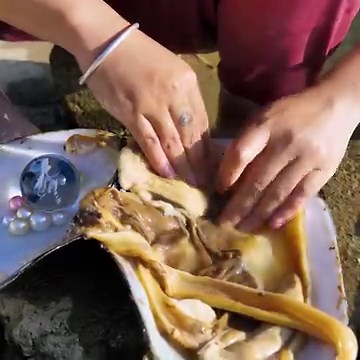 90K views · 2.8K reactions | Pry open the giant clam, which harbors countless charming pink pearls that are incredibly precious | Xiaohuiya | Facebook