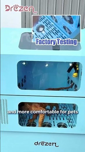 Automatic Dog Wash Machine Factory Test | Smart Pet Washing Solution