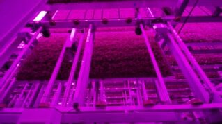 Climate action is a shared responsibility, and we believe that empowering customers with technology can multiply impact faster than we might’ve once imagined. Our partnership with 80 Acres Farms is accelerating the future of sustainable, indoor farming to model the next generation of agriculture. | Siemens | Facebook