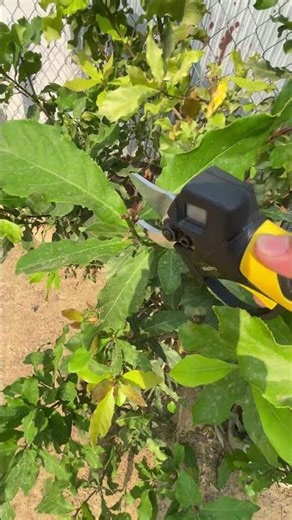 electric scissors easy use save time #tool P7129