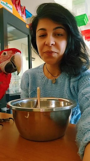 Engaging Interaction with a Vibrant Red Parrot