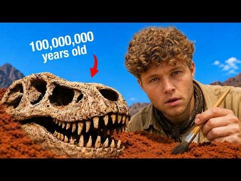 I Mined a Fossil Site