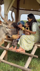 20K views · 1K reactions | Serval Wildlife, Located in Tanzania is a sanctuary for rescued animals . Visit Serval wild life .. : ServalWildlife | Africa is Home tourism center | Facebook