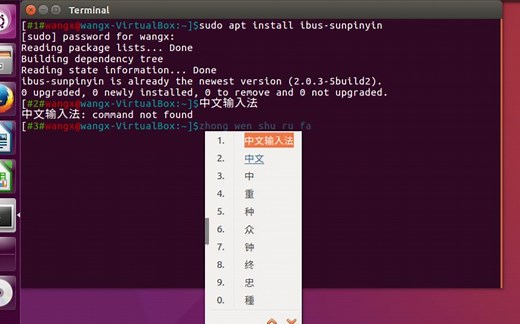 linux/ubuntu安装中文输入法