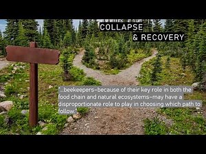 What is Treatment Free Beekeeping? | Is it Sustainable or Can it Be?