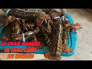 cuire du homard lobster cooking iles de la madeleine homard vapeur - steamed lobster