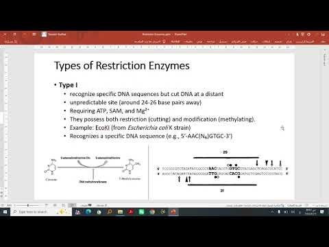 الإنزيمات القاطعة وتطبيقاتها في التحليل الجيني باستخدام أدوات المعلوماتية الحياتية
