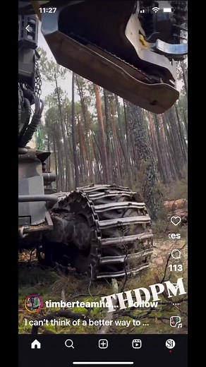 Stephen Irwin on Reels