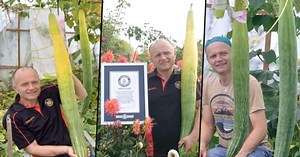Watch: viral video shows UK man with World's longest home-grown cucumber