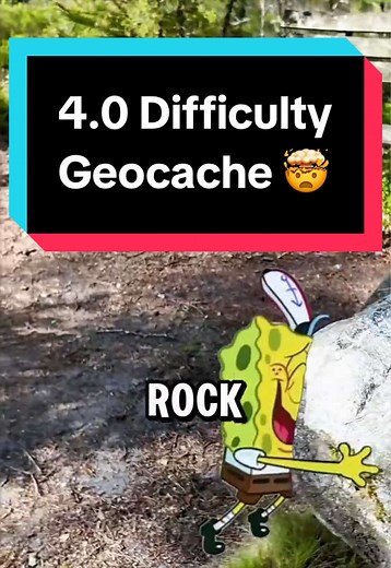 Hidden Geocache Discovery: Level 4.0 Challenge Revealed