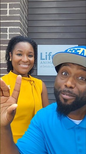 Lady in the Yellow Dress Is Back — This Time, for the Fur Babies! 🐾💛