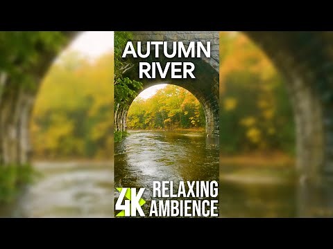 4K Relaxing Atmosphere of Autumn Rainy Day for Vertical Screens - Calming River Sound for Deep Sleep