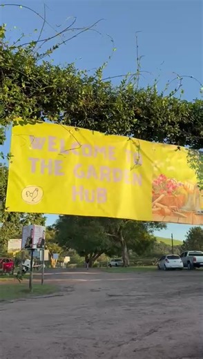 Embrace Local Organic Freshness for a Sustainable Future