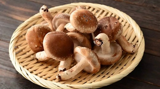 How to store mushrooms properly for freshness and flavour