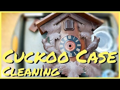 Cuckoo Case Cleaning