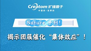 团簇催化再登 Nature 子刊！揭示集体效应