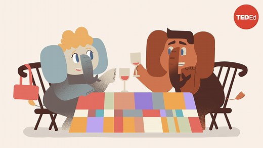 4 things all great listeners know