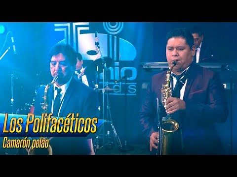 Los Polifacéticos - Camarón pelao