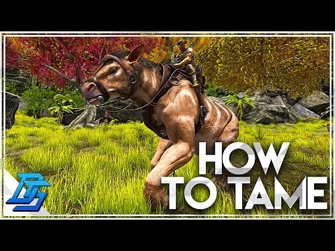 How To Tame A Chalicotherium - Ark: Survival Evolved