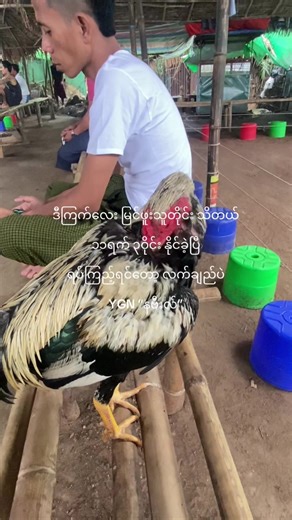 baby loki သည် TikTok ပေါ်တွင် ရှိသည်