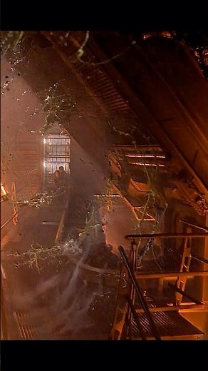 🚀Alien Horror Unleashed: Kane's Parasitic Nightmare and Ripley's Survival🚀​#movie