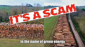 8.7K views · 208 reactions | Over 40.000 tonnes of wood to be burnt in the name of green enegy, think of all that effort transporting it alone! The famer gets paid much more for having this on his land than growing food too. This is a a giant greenwash scam ! | Get Wild | Facebook