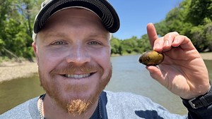 How Kansas biologists are returning rare mussels, fish and turtles