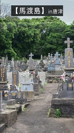 【馬渡島 まだらしま】in唐津 玄界灘のしま旅2025 #キリシタン #馬渡島 #唐津藩 #牧場 #馬
