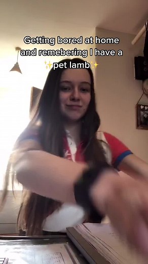 Caring for a Pet Lamb: A Heartwarming Experience