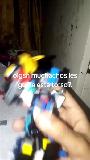 les gusta el torso?.