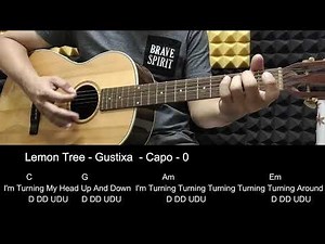 Lemon Tree - Gustixa - Guitar Tutorial cover with Chords & Lyrics