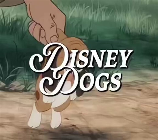 disney dogs 🐶