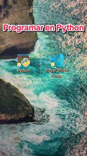 Diferencias entre programar en Python y VS