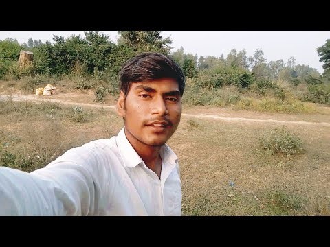 Beautiful view of forest 😀😃😃 sundar njara jungle