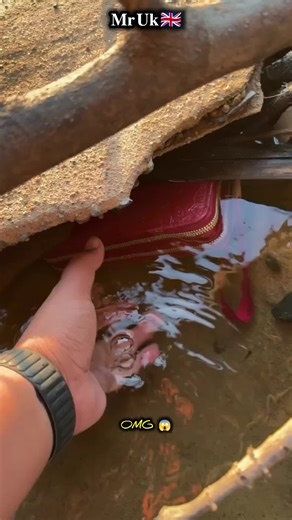 Lost Wallet with iPhone & Cash Returned